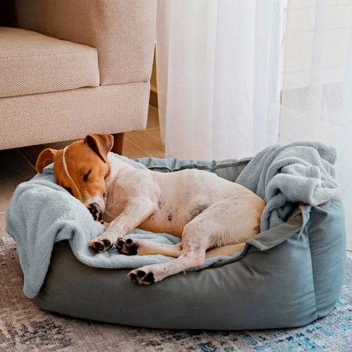 MANTA MICROFIBRA FLANNEL PET