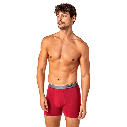 CUECA AM BOXER 00784-061