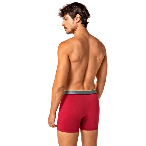 CUECA AM BOXER 00784-061